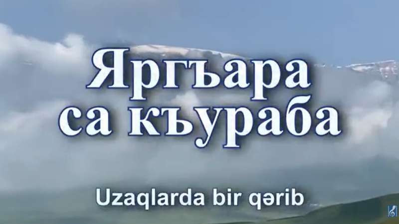 Uzaqlarda bir qərib